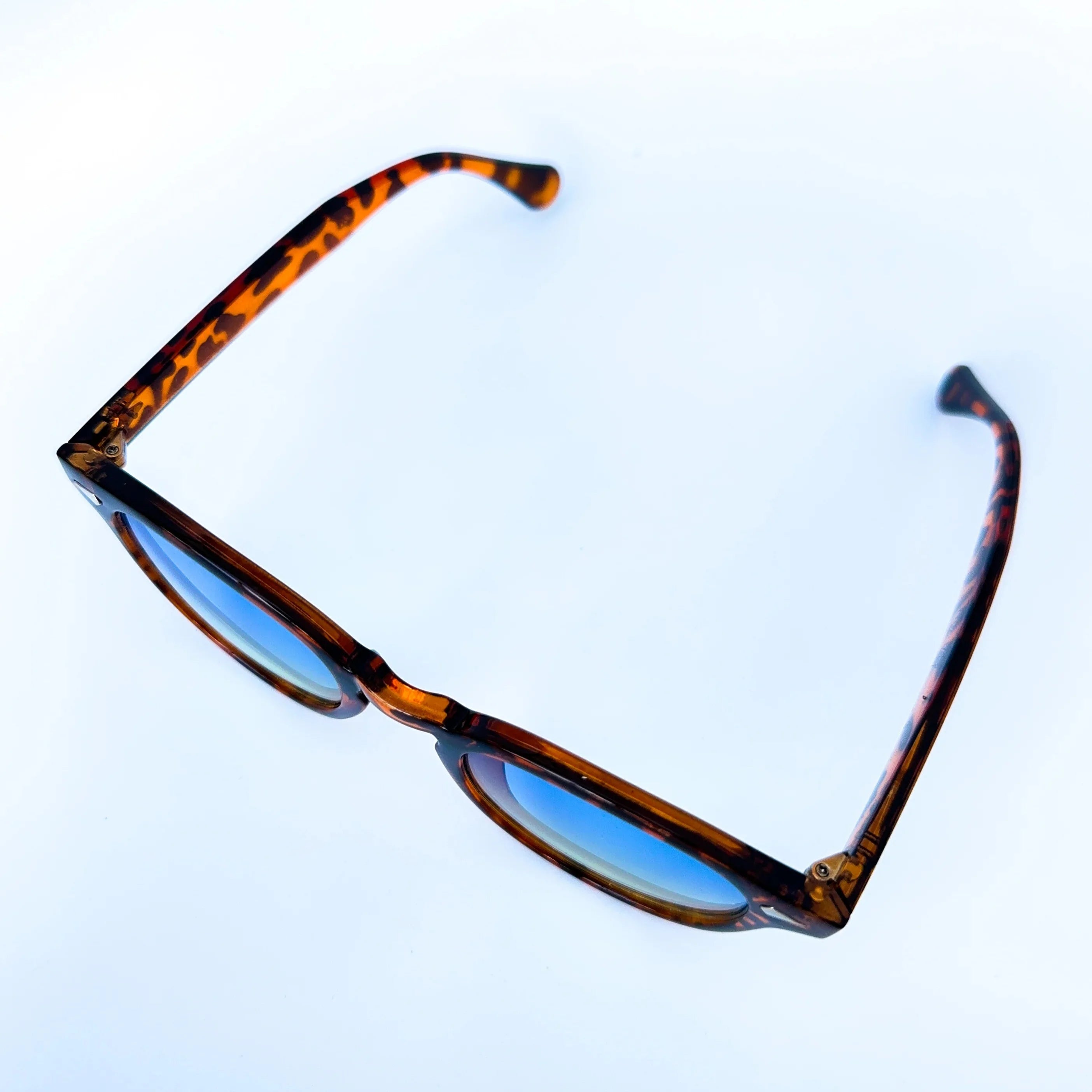 Óculos de Sol Edinburgh